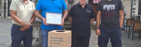 Re-cortiza